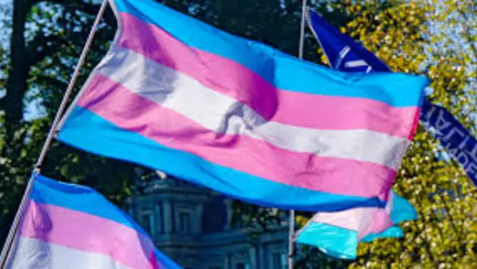 Trans People Should Not Be Treated Like Criminals: Bombay High Court Ordered Mumbai Police To Protect Trans People Trans People Should Not Be Treated Like Criminals: Bombay High Court Ordered Mumbai Police To Protect Trans People