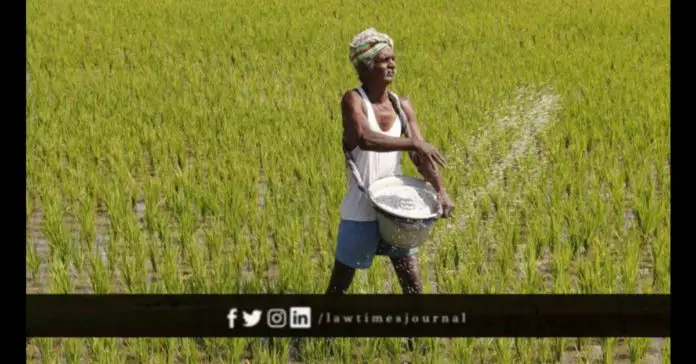 From the new Kharif marketing operation, more than 67,89,000 paddy farmers benefited From the new Kharif marketing operation, more than 67,89,000 paddy farmers benefited