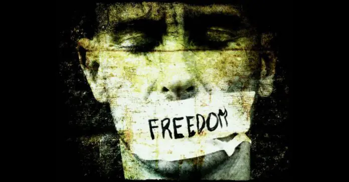 Punjab and Haryana High Court remarked Freedom of Speech doesn’t allow a person to make derogatory remarks against any community or gender
