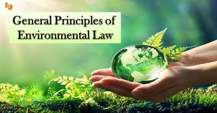 General Principles in Environment Law General Principles in Environment Law