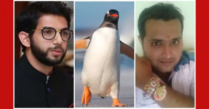 Police Custody oF Sameet Thakkar extended by Court till Novemeber 2nd Police Custody oF Sameet Thakkar extended by Court till Novemeber 2nd