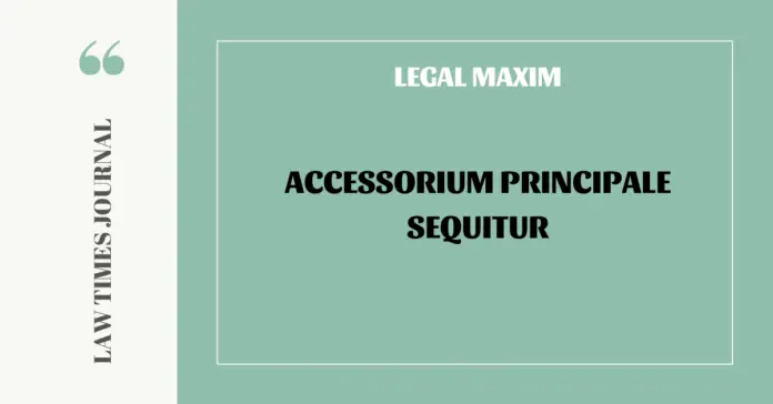Accessorium Principale Sequitur Accessorium Principale Sequitur
