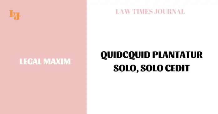 Quidcquid plantatur solo, solo cedit Quidcquid plantatur solo, solo cedit